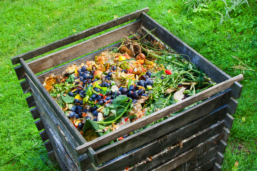 Cómo hacer compost casero · Vivienda Saludable